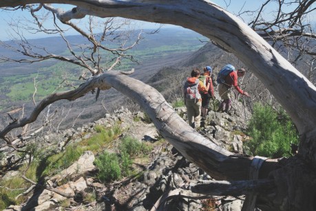 Holiday at home: Four great Australian walks that won’t break the bank