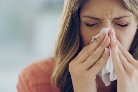 Sniffles, sneezing and cough? How to tell if it’s a simple allergy rather than the virus