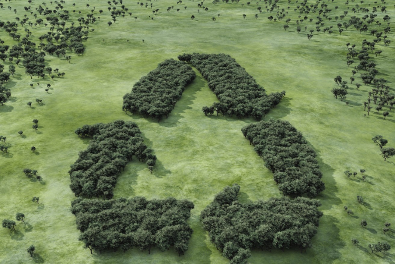 The Federal Government says it wants 10 million tonnes of waste diverted from landfill to make useful products.