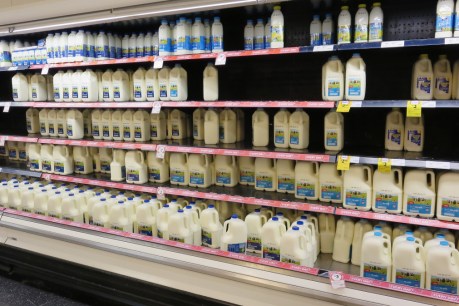 Supermarkets deny milk shortages, strike continues