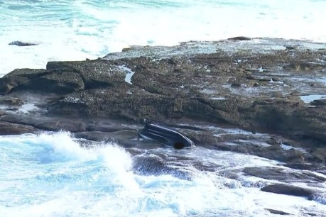 Three men die after boat capsizes off La Perouse in Sydney’s south