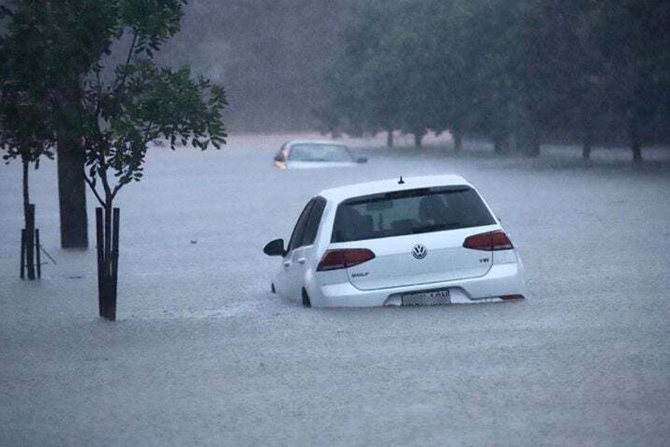 The NSW SES has been inundated with requests for help. 