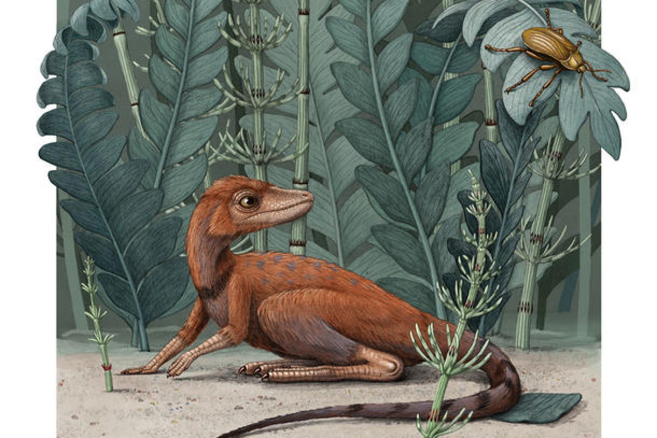 The dinosaurs' ancestor was just 10 centimetres tall and full of mystery. 