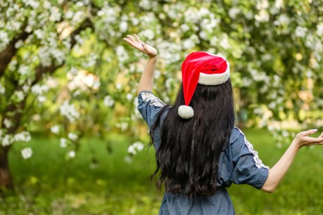 Reasons to celebrate Christmas in July