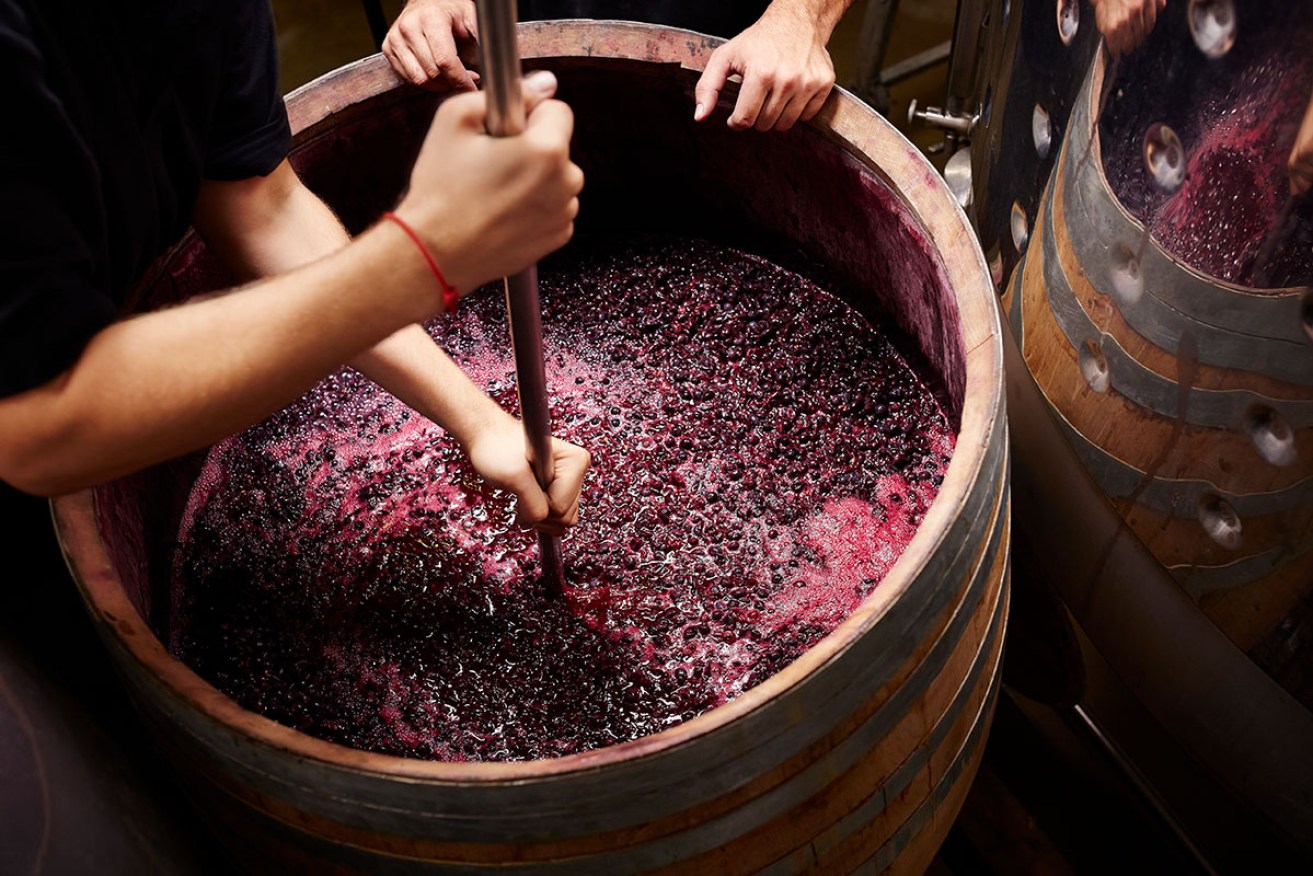 At 44% of Australia’s annual grape crush, Shiraz is the undisputed favourite of Australian wine lovers. Credit: Wine Selectors