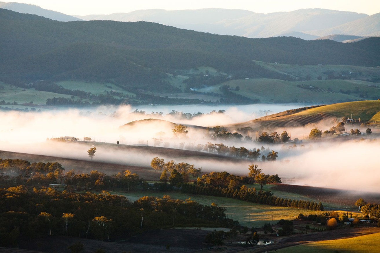 Famed for its Chardonnay and Pinot Noir, the Yarra Valley is a true original. 
