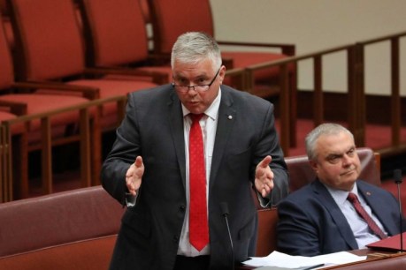 Crossbench SA senator Rex Patrick quits Centre Alliance party to run as an independent