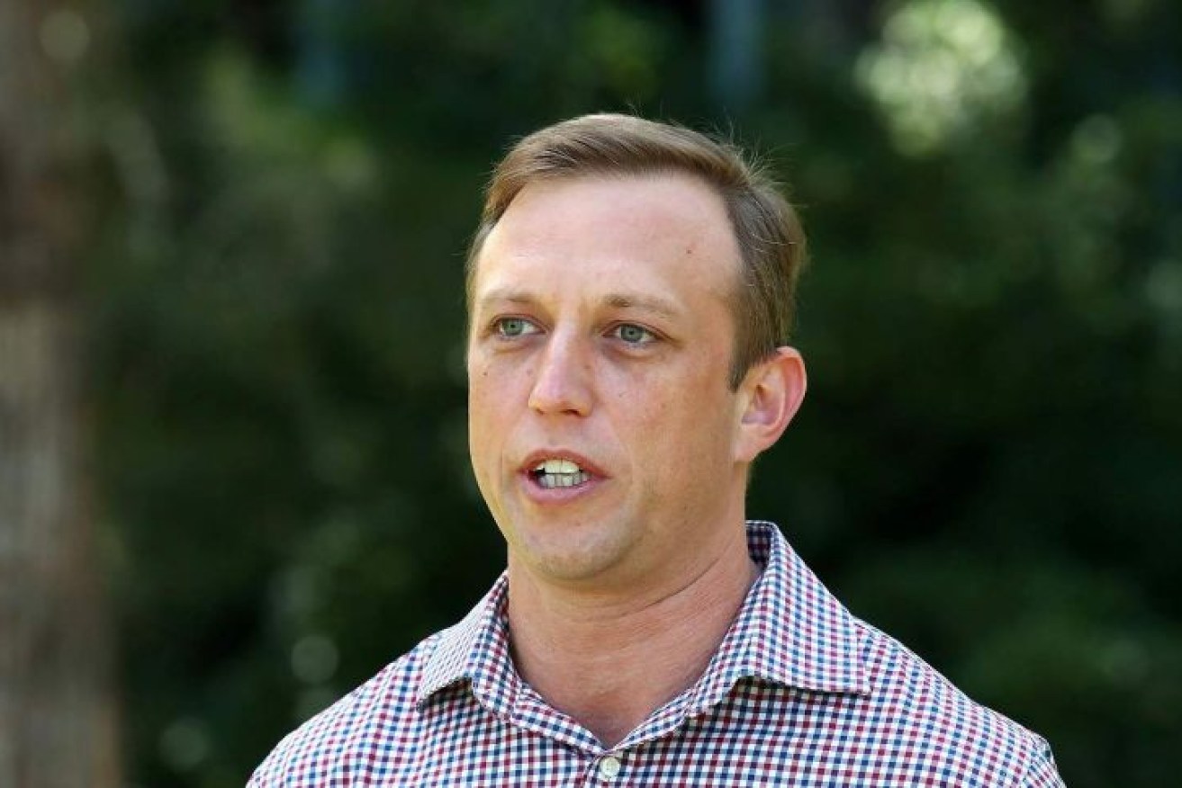 Queensland Health Minister Steven Miles has rejected claims the state is responsible for the death of an unborn twin in NSW.