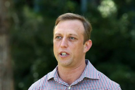 Queensland&#8217;s Health Minister Steven Miles hits out at Peter Dutton over border criticism