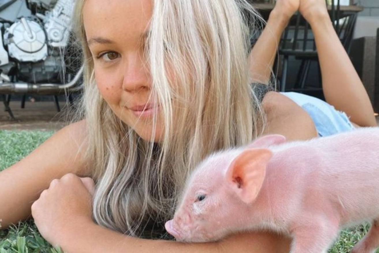 Lauren McGeachin pleaded guilty to animal theft.