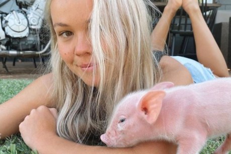 Vegan activist must pay compensation for stealing piglets