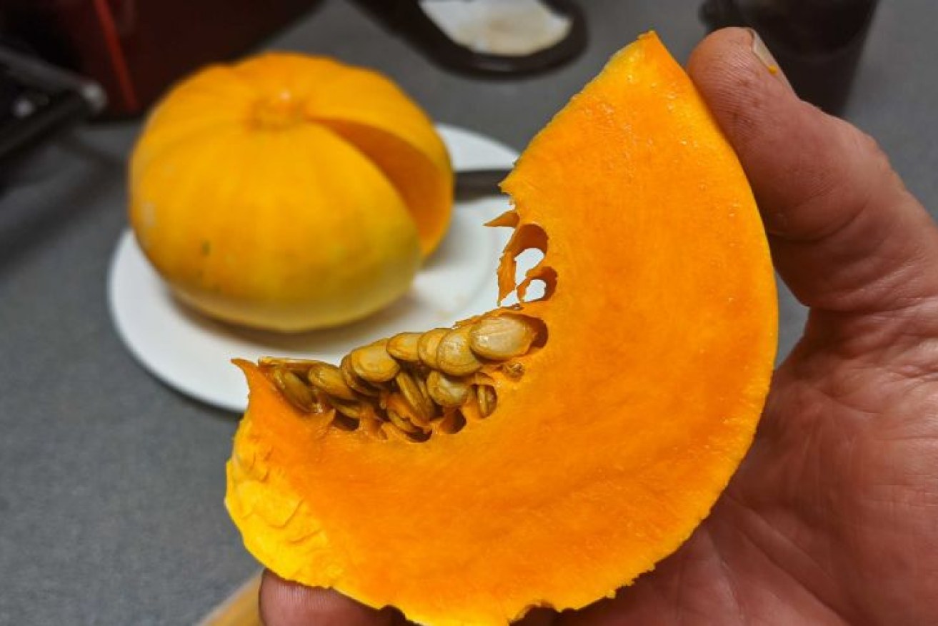 Orange Glow is a 'designer' pumpkin. 