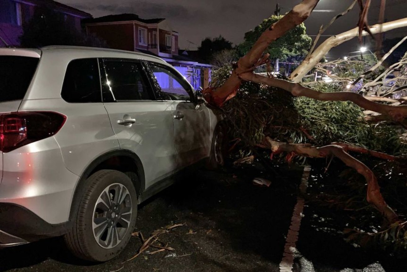 Strong winds brought down trees which crushed cars, leaving three people dead. 
