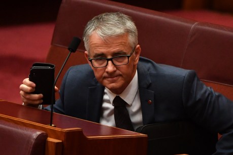 Coalition senator to ‘withhold vote’ on borders