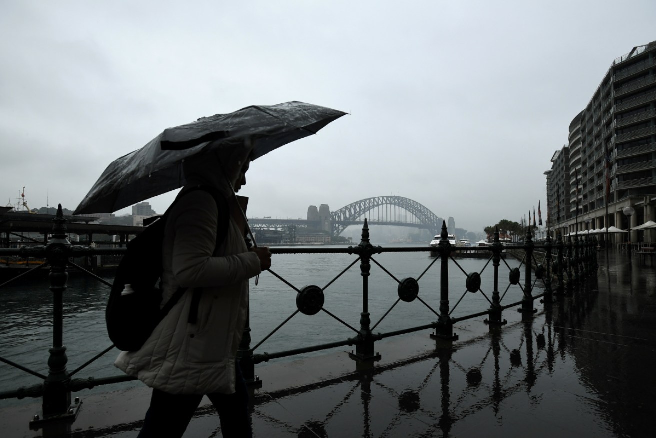 New research reveals an astonishing increase in the intensity of rain bursts in recent decades. 