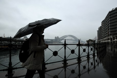 Think storms are getting worse? Research reveals alarming rise in rapid rain bursts in Sydney
