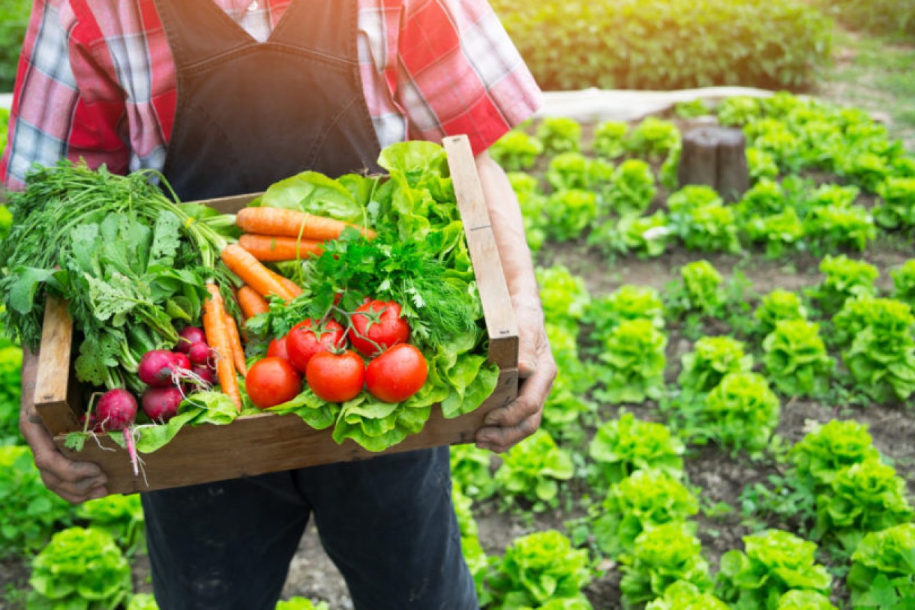 Some vegetables are healthier when cooked.