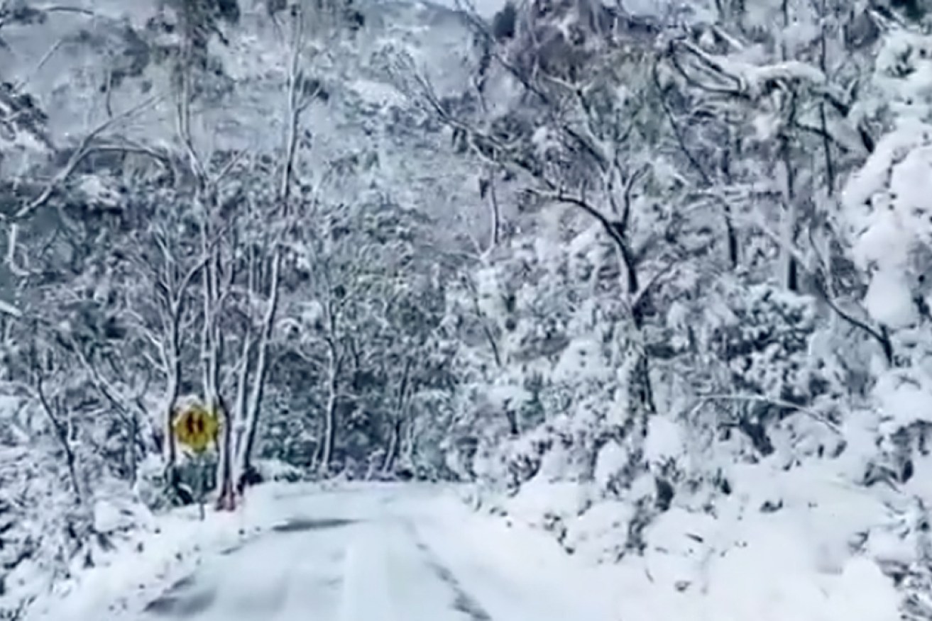 The road to Mount Field National Park in Tasmania on Tuesday.