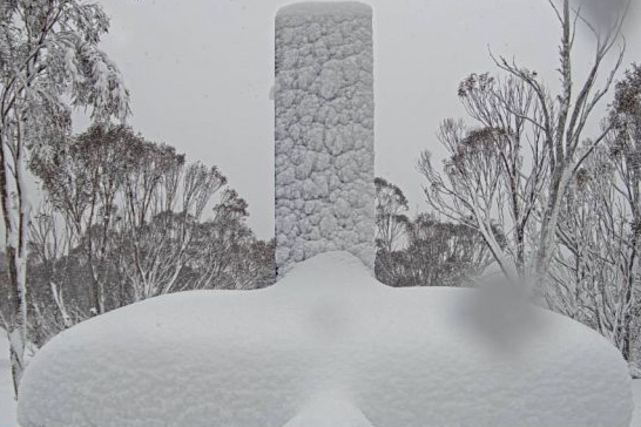NSW snowfields have been warned about potential blizzards and avalanches. 