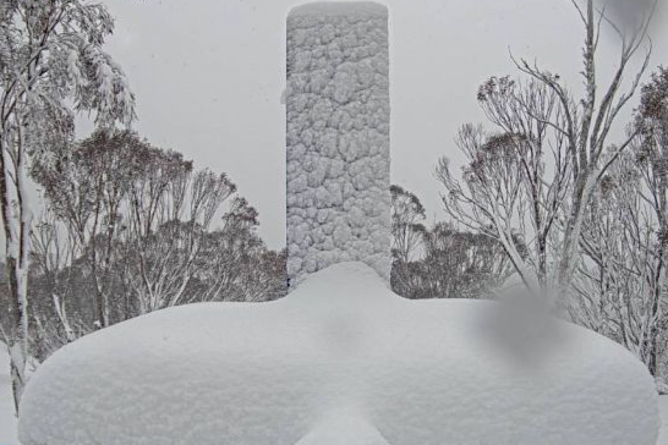 NSW snowfields have been warned about potential blizzards and avalanches.