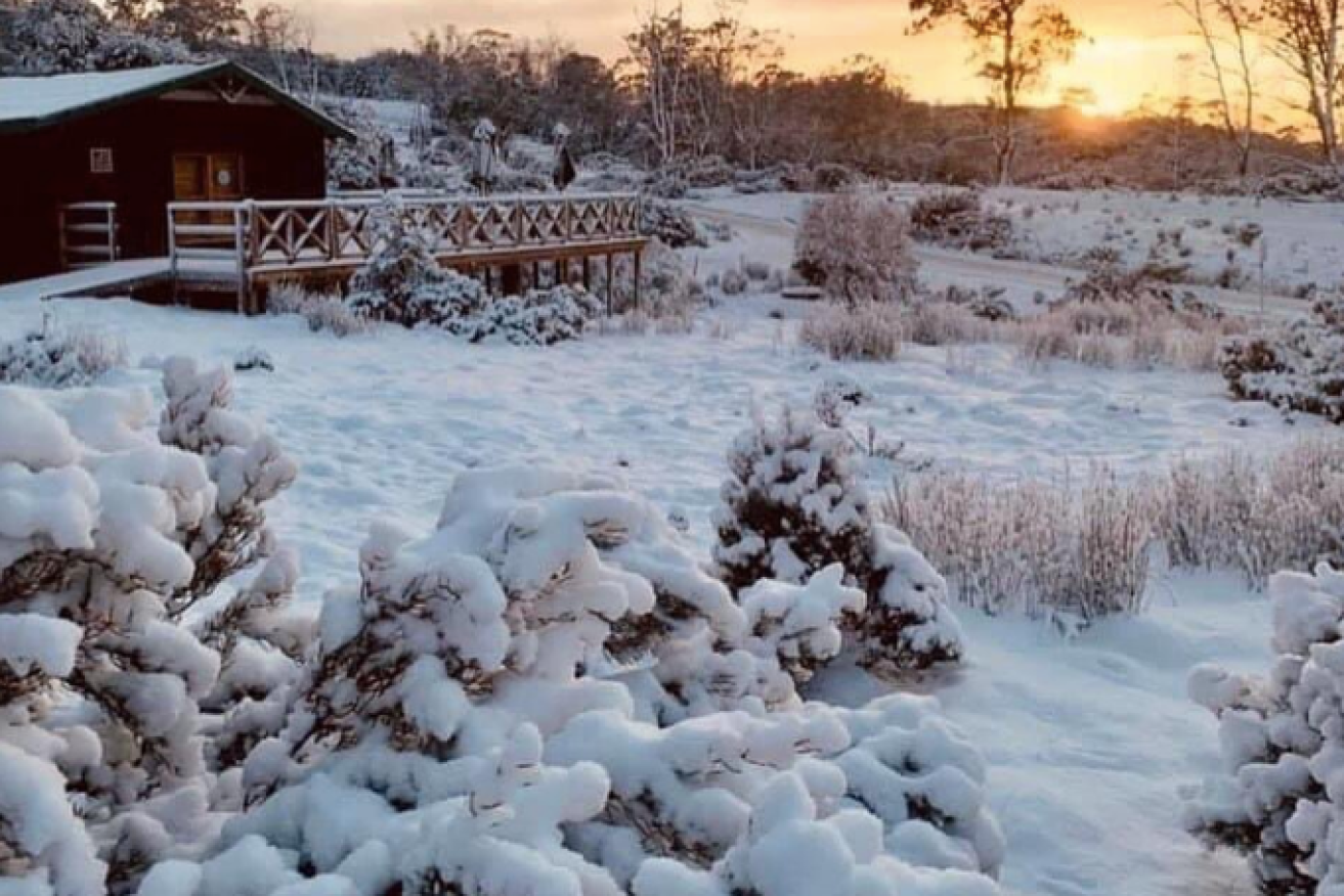 lutruwita in Tasmania was one of many areas to be covered in snow.