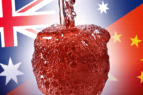 Australia&#8217;s ambassador to China blasts Beijing&#8217;s &#8216;vindictive&#8217; trade behaviour