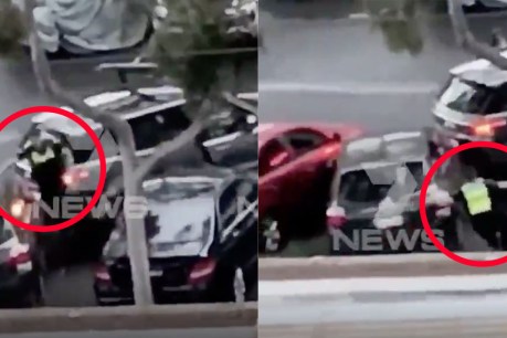 Alleged car thief injures police, virus positive