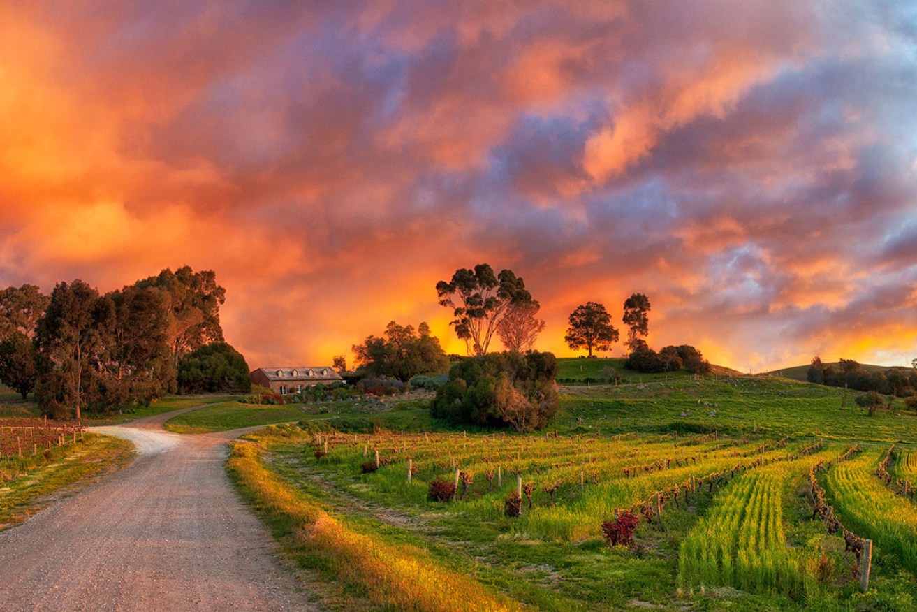 South Australia’s Barossa Valley is deservedly celebrated for its premium Shiraz.