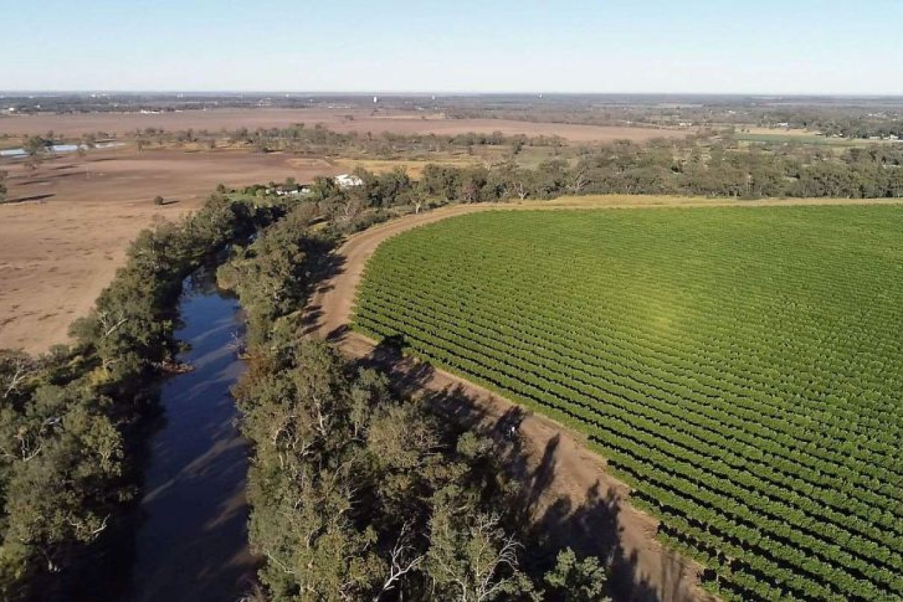 The Water Minister concedes the Murray-Darling Basin Plan won't be delivered on time.