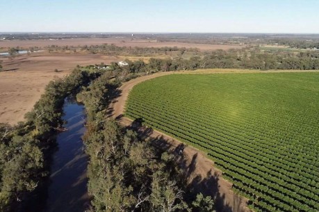 Water buybacks dumped, Murray-Darling authority to be overhauled