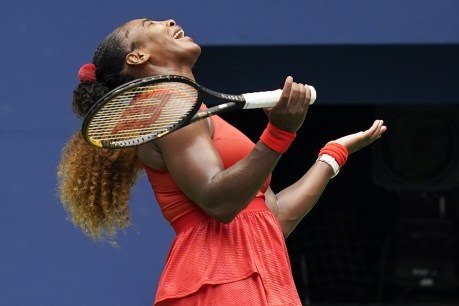 Serena Williams wins through to US Open semi-finals