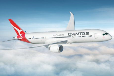 Qantas scenic flight to nowhere could be fastest-selling flight in airline&#8217;s history