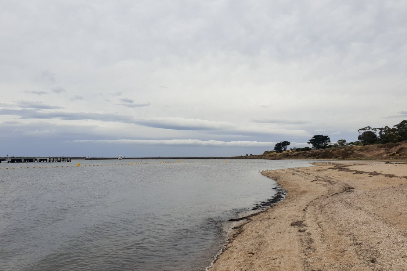 The beach at Portarlington (file photo).