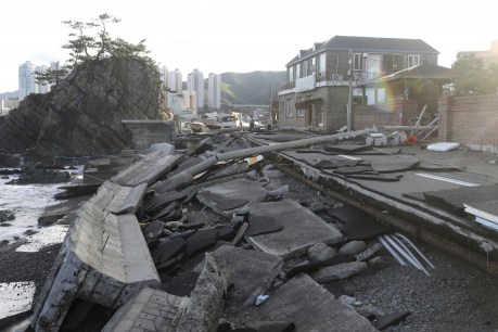 Electricity cut to 75,000 homes as Typhoon Haishen lashes the two Koreas
