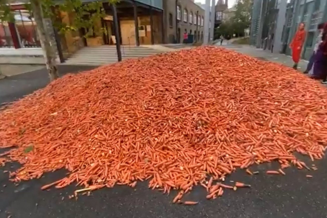 The mound of carrots dumped outside a London university.