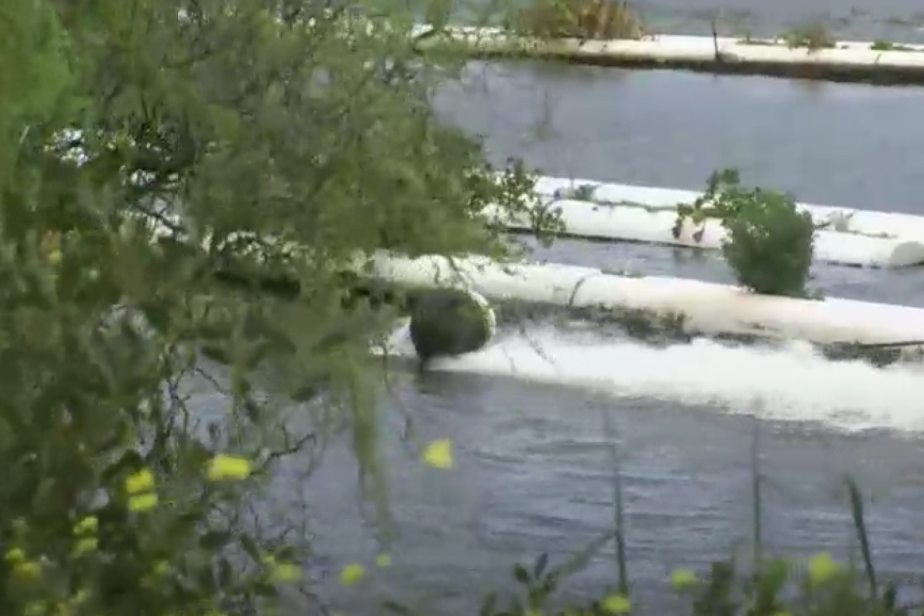 Water gushes from the leaking dam as emergency try to lower the water level.