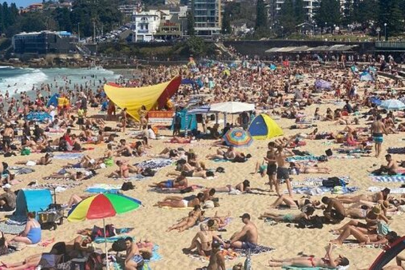 Several Sydney beaches are already at capacity on Australia Day. 