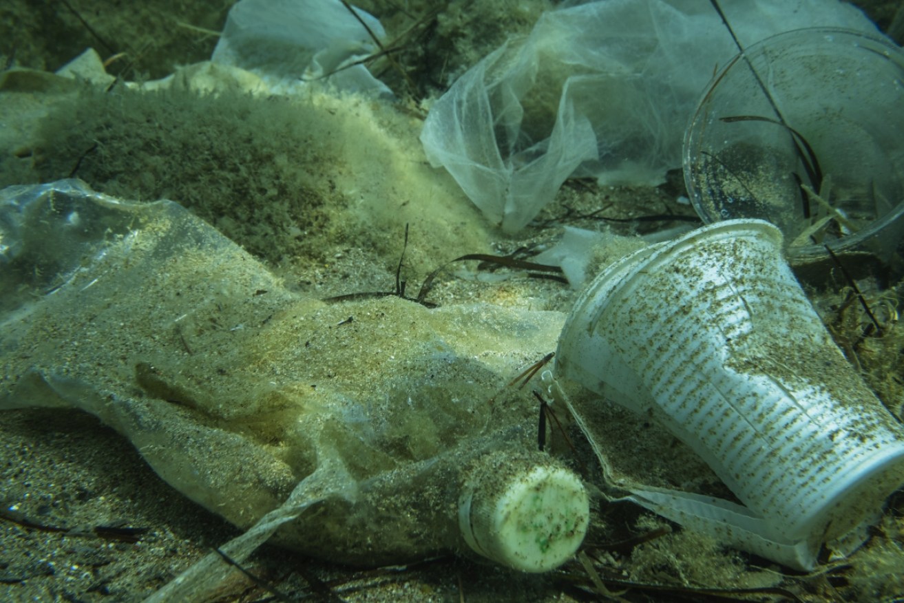 Plastic and other garbage settled at the bottom of the Adriatic Sea. 
