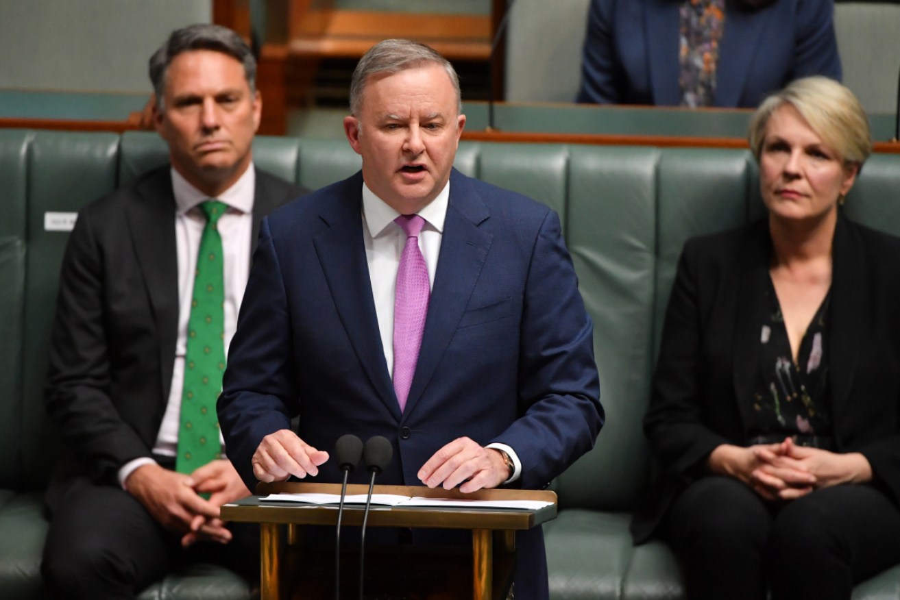 Anthony Albanese's speech has met with a mixed response from economists. 
