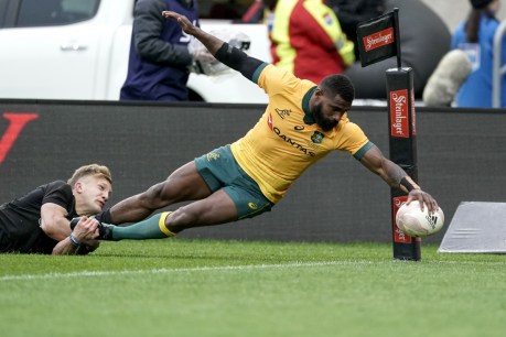 So close: Wallabies unlucky in thrilling 16-16 Bledisloe Cup opener