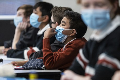 Mass tutoring program to help Victorian students