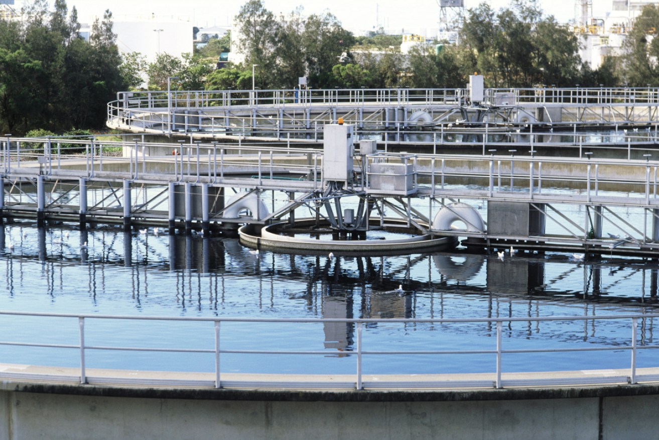 Virus traces have been found in sewerage in Brisbane and on the Sunshine Coast.