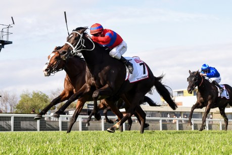 Verry Elleegant narrowly takes out the $5 million Caulfield Cup
