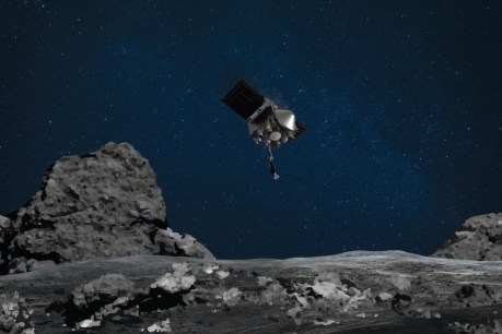 NASA celebrates historic 'touchdown' on asteroid