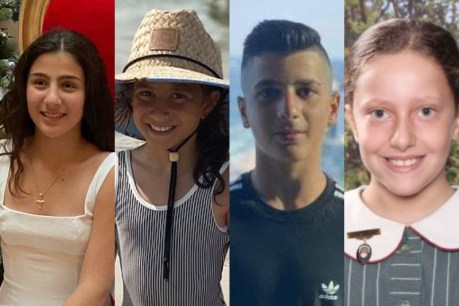 Drunk driver pleads guilty to manslaughter of four children in Oatlands