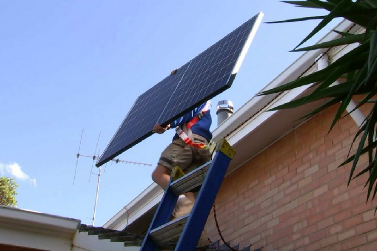 Rooftop solar panels produced the vast bulk of the energy that helped South Australia make green history.