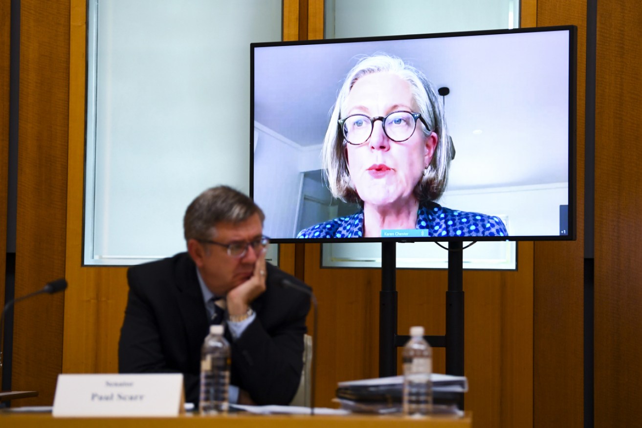 Karen Chester said ASIC commissioners were "not fully aware" of issues raised by the Auditor-General until September.