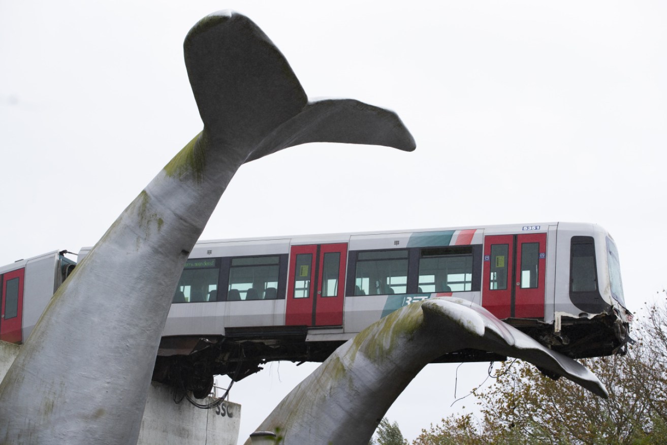 The whale's tail of a sculpture stopped a train plunging 10m off an elevated track near Rotterdam in the Netherlands.