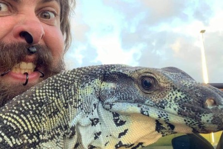 Far North Queensland man searches for pet &#8216;dinosaur&#8217; missing in Cairns
