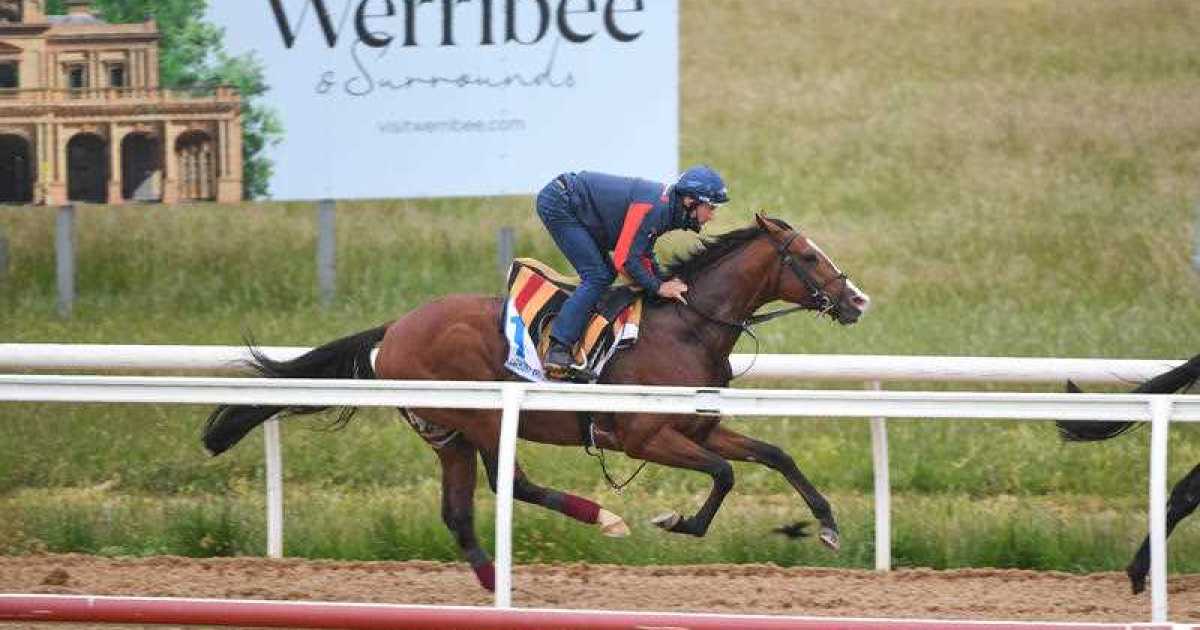 Another year, another foreign horse dies in the Melbourne Cup